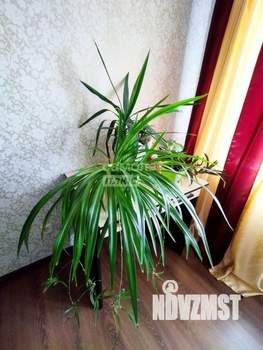1-к квартира, вторичка, 45м2, 5/10 этаж