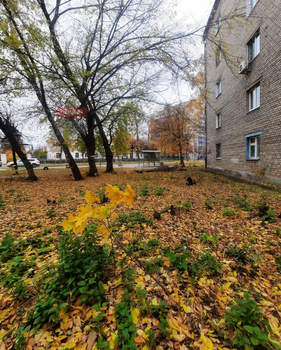 1-к квартира, вторичка, 30м2, 1/4 этаж